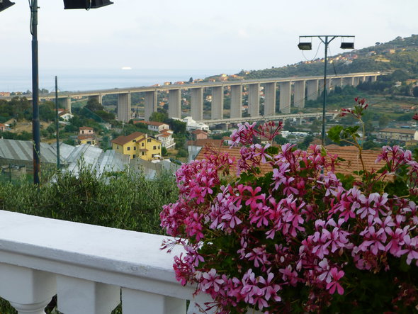 P1000907.JPG