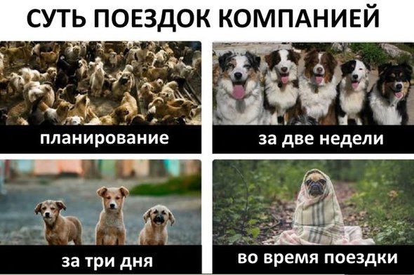 _файлы.jpg