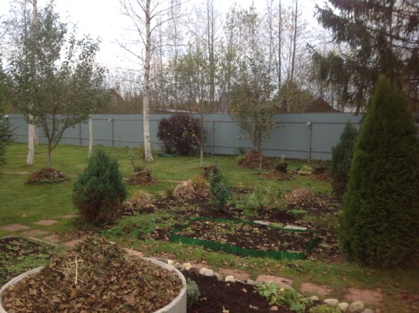 image.jpg (1.4 МБ) Просмотров: 13604 image.jpg