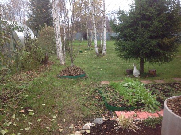 image.jpg (1.5 МБ) Просмотров: 13610 image.jpg