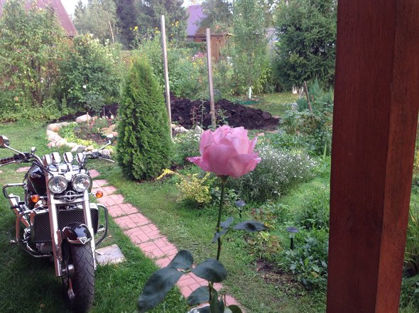 image.jpg (1.97 МБ) Просмотров: 12567 image.jpg