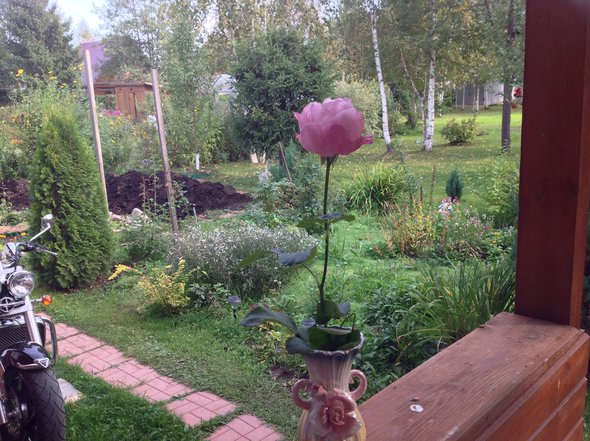 image.jpg (2 МБ) Просмотров: 12554 image.jpg